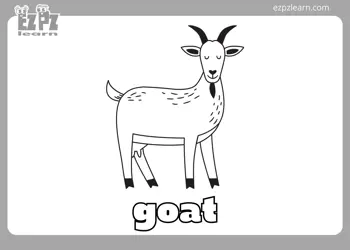Goat Coloring Page